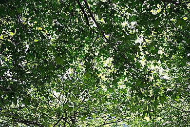 热浪来袭，上KK官方对战平台，全民体育狂欢赢iPad！